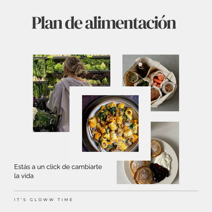 Plan de alimentación